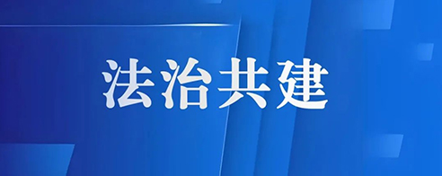 聚焦涉外法治合作 深化莞图法治共建